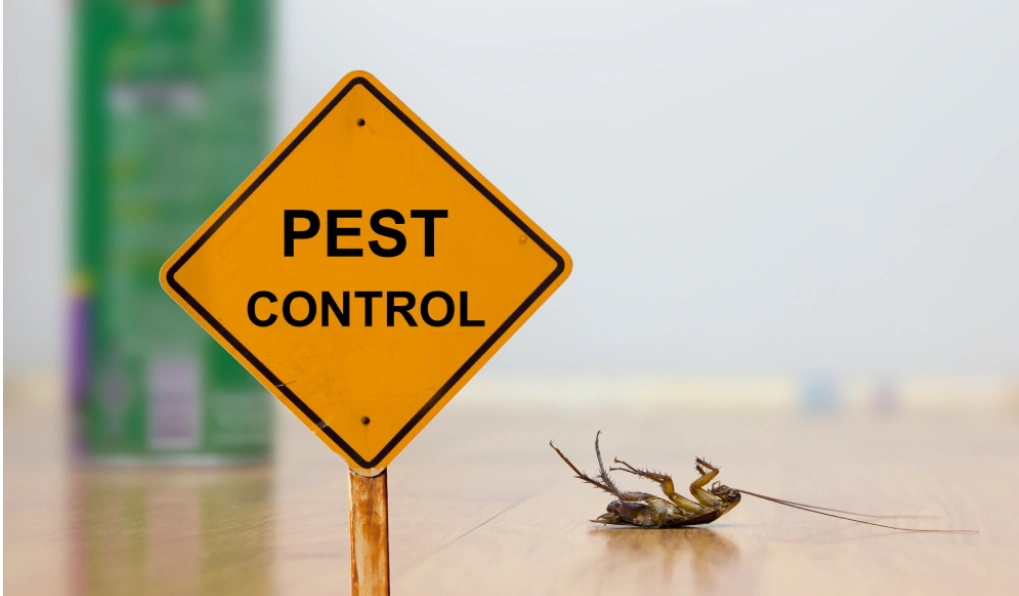 Cockroach pest control service Coimbatore
