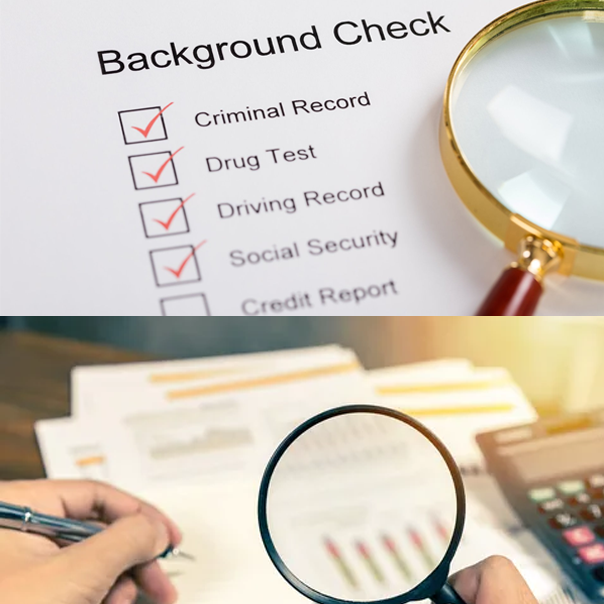 Comet Career Consultatnts