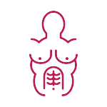 Upper Body Lift Treatment in Coimbatore