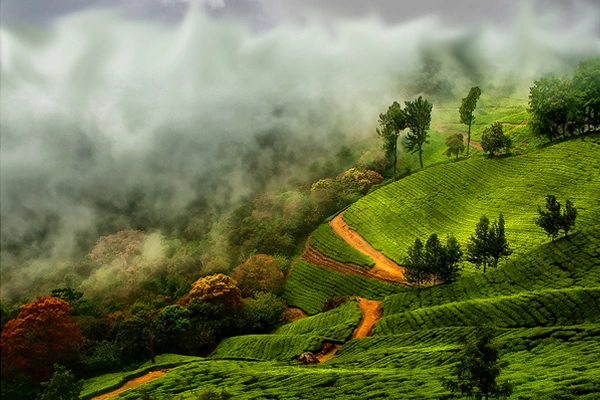 Kandhaloor trip from Pollachi