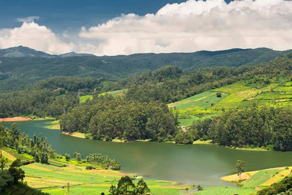 Best Tours and Travels in Pollachi