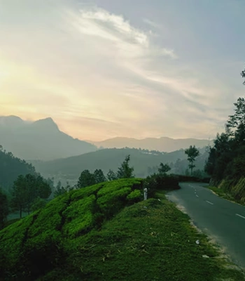 best tour agent in valparai