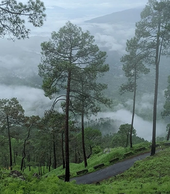 Kandhaloor Tour from Pollachi