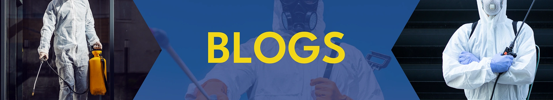 Best Commercial Pest Control Services in Coimbatore