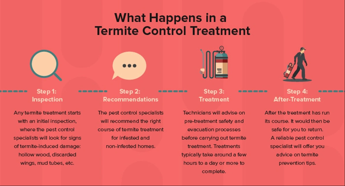 Best termite treatment in Coimbatore