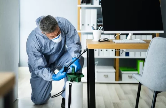office pest control service in Coimbatore