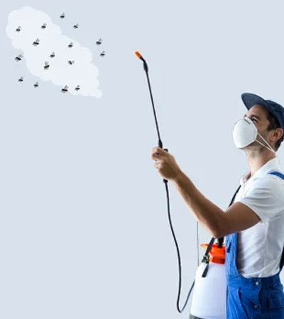 Top pest control services