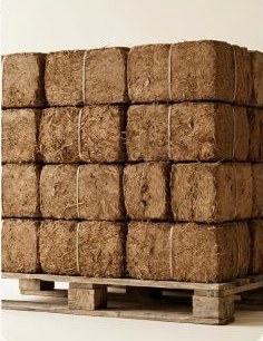 Coir Manufacturing