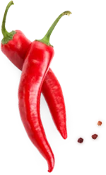 bamboo biryani hotel in coimbatore