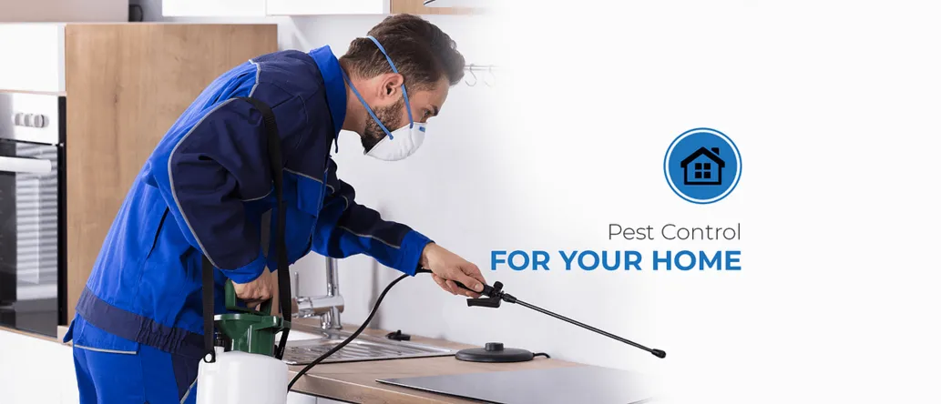 why-regular-pest-control-is-essential-for-a-healthy-office-environment