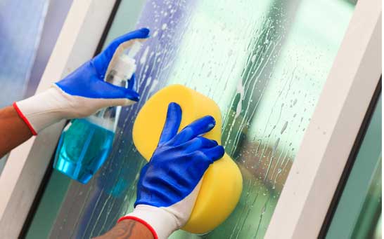 pest Deep Cleaning Service