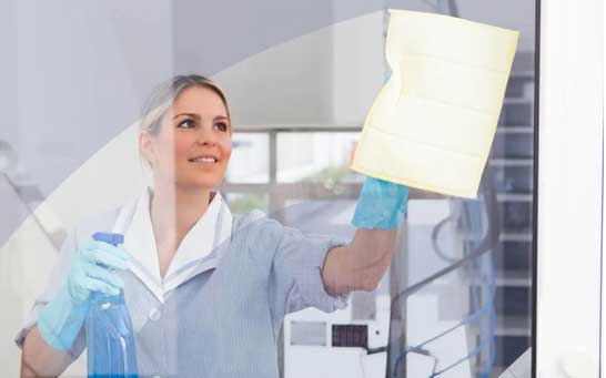 pest Deep Cleaning Service