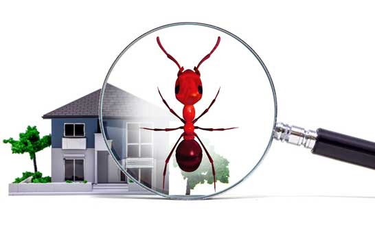 Integrated Hygiene Services